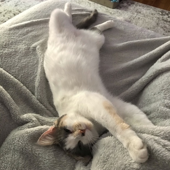 Meet your Posher, Nadia - Picture 2 of 3